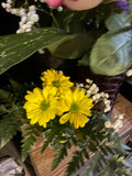 Small Daisy & Baby's Breath Vase Arrangement